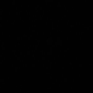 Meet your Posher, Gabriella